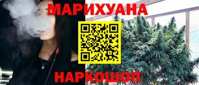 шишки Канаш