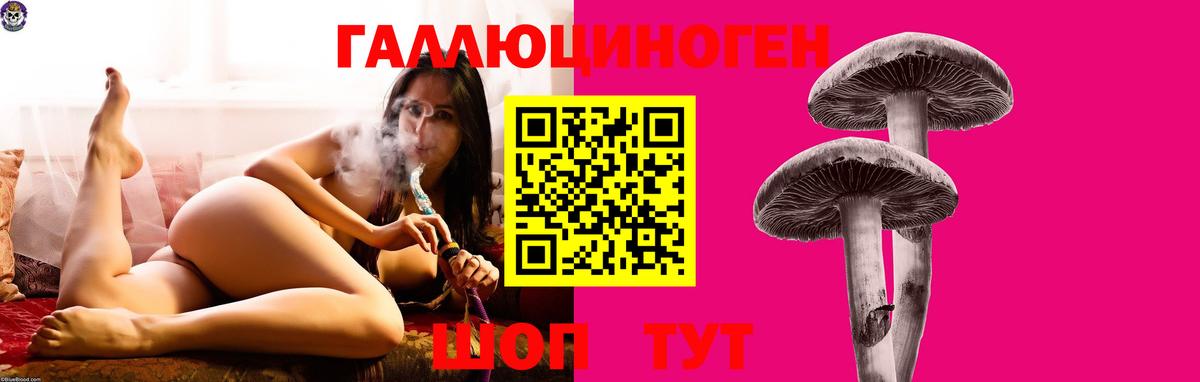 Краснокаменск  Псилоцибиновые грибы Psilocybe  магазин продажи   Вход с VPN  Псилоцибиновые грибы мухоморы 